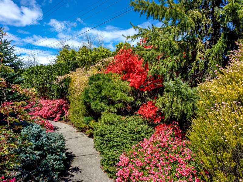 85 Blaxland Road, Wentworth Falls NSW 2782