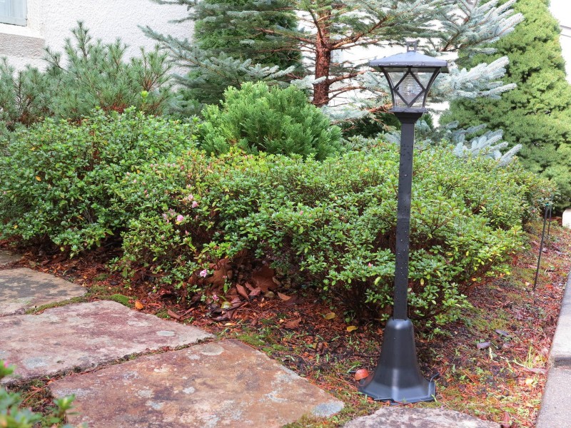 85 Blaxland Road, Wentworth Falls NSW 2782