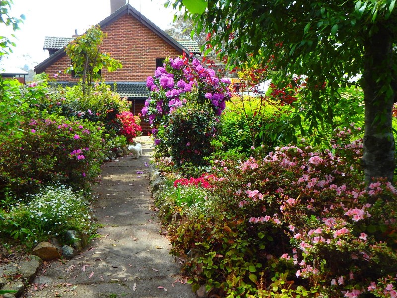 36 Canberra Street, Wentworth Falls NSW 2782