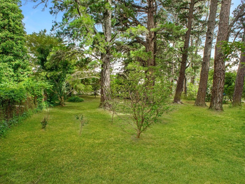 144 Tableland Road, Wentworth Falls NSW 2782