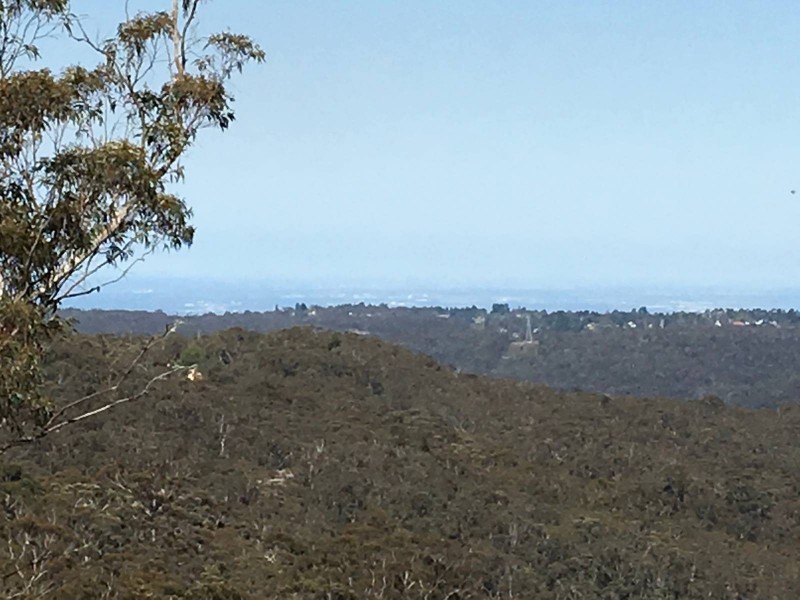 37-39 Henderson Road, Wentworth Falls NSW 2782