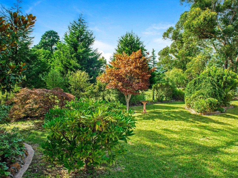 66 Darwin Avenue, Wentworth Falls NSW 2782