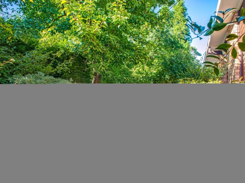 19 Shortland Street, Wentworth Falls NSW 2782
