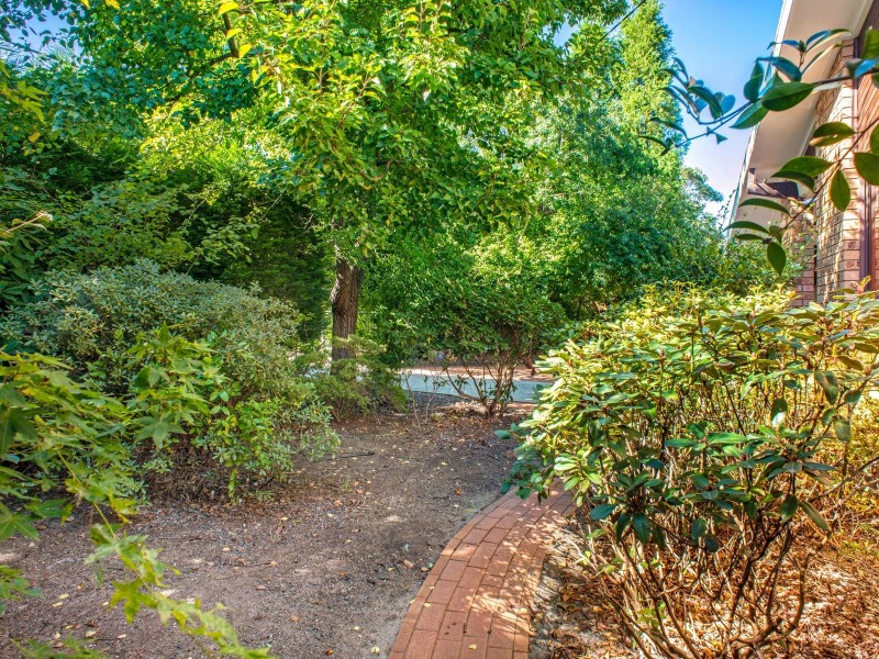 19 Shortland Street, Wentworth Falls NSW 2782