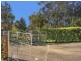 Wentworth Falls NSW 2782