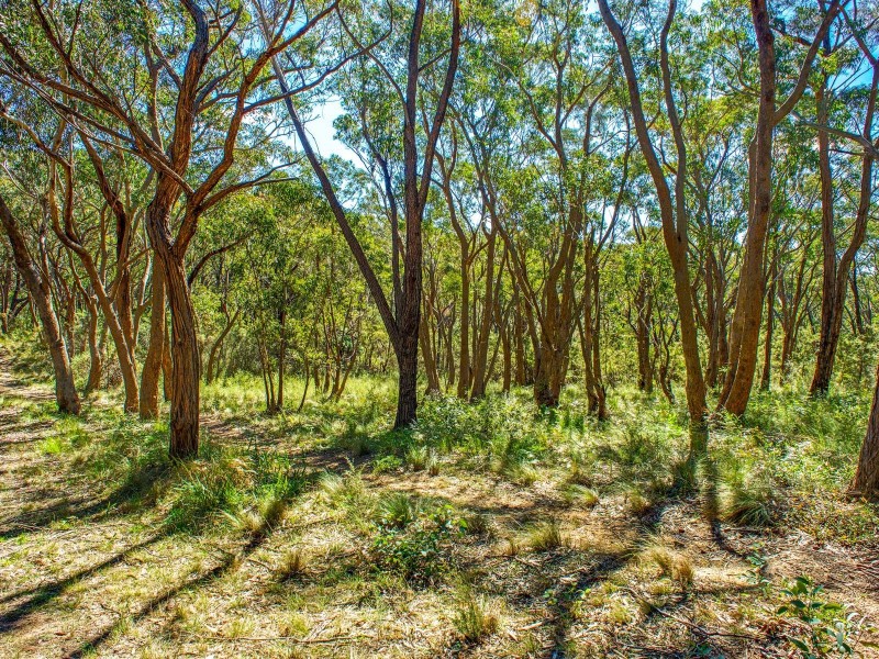 9-11 Walmer Crescent, Wentworth Falls NSW 2782