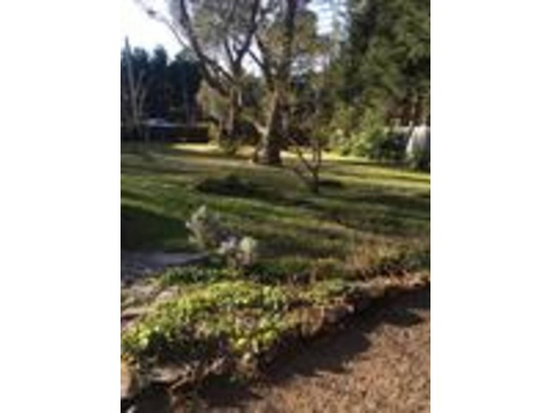 3 Bermuka Avenue, Wentworth Falls NSW 2782