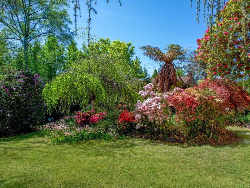 45 McLaughlin Avenue,, Wentworth Falls NSW 2782