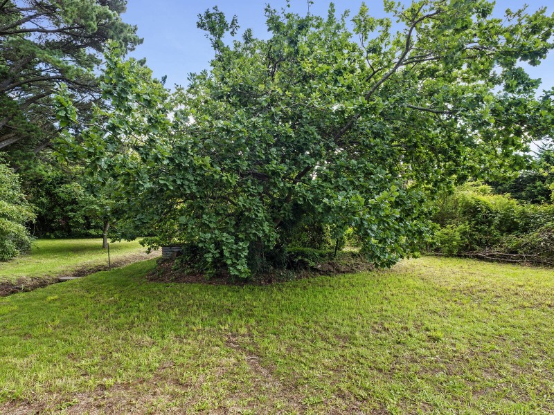 129 Tableland Road, Wentworth Falls NSW 2782