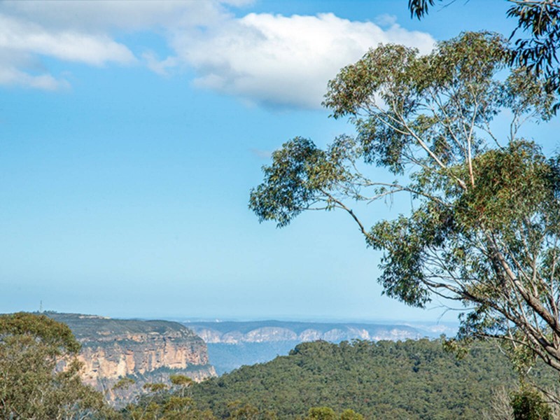 70-71 Bate Street, Wentworth Falls NSW 2782