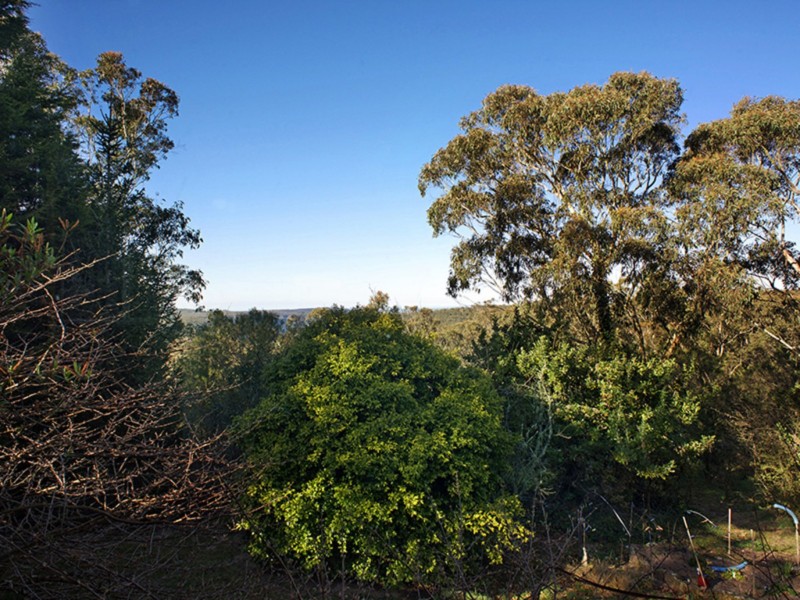 77 Bate Street, Wentworth Falls NSW 2782