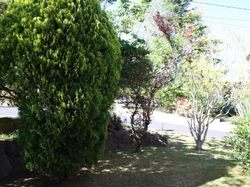 19 Dalrymple Avenue, Wentworth Falls NSW 2782