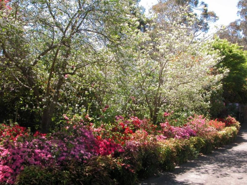 12 ERICA ROAD, Wentworth Falls NSW 2782