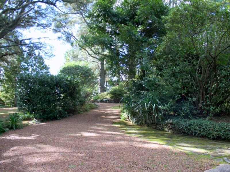 6 BELLEVUE ROAD, Wentworth Falls NSW 2782