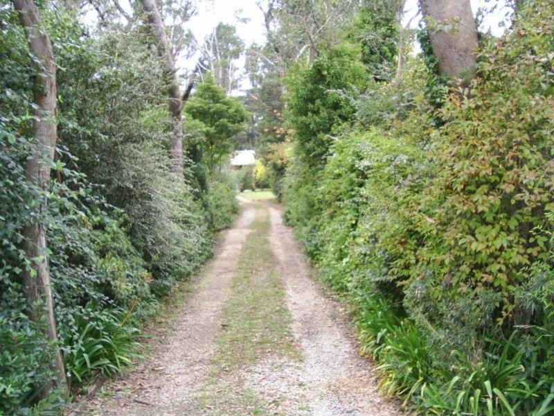 1/14 MITCHELL STREET, Wentworth Falls NSW 2782