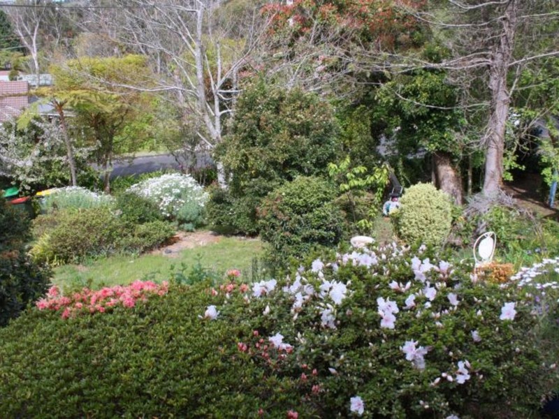 30 Flora Street, Wentworth Falls NSW 2782