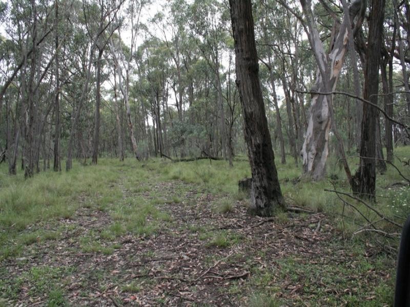 Canyonleigh NSW 2577