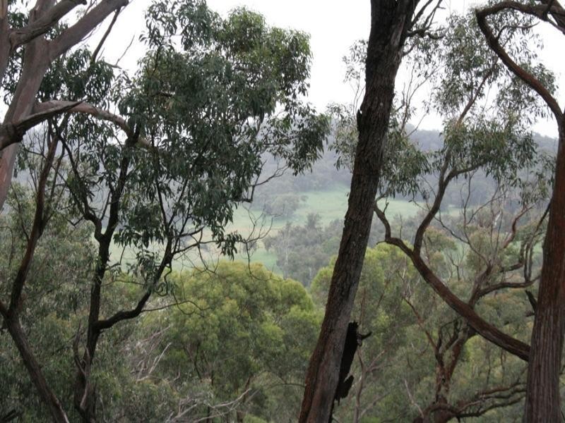 Canyonleigh NSW 2577