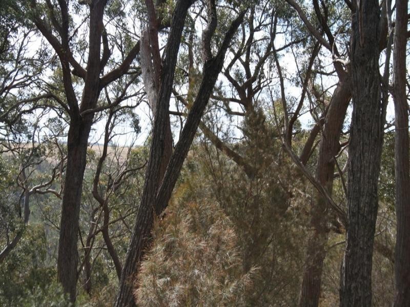 - Caoura  Rd, Tallong NSW 2579