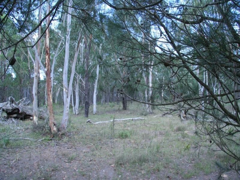 Wingello NSW 2579