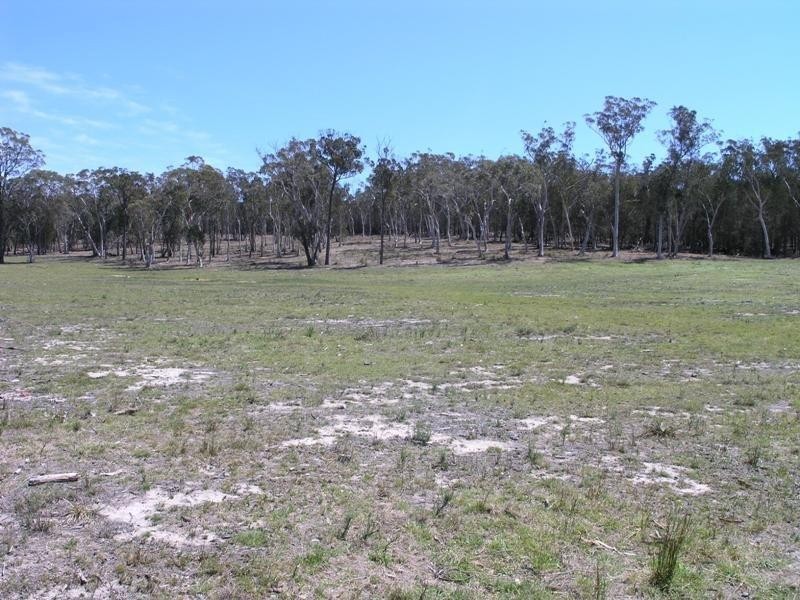 296 Red Hills Rd, Marulan NSW 2579