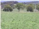 64 Curlewin  Lane, Towrang NSW 2580