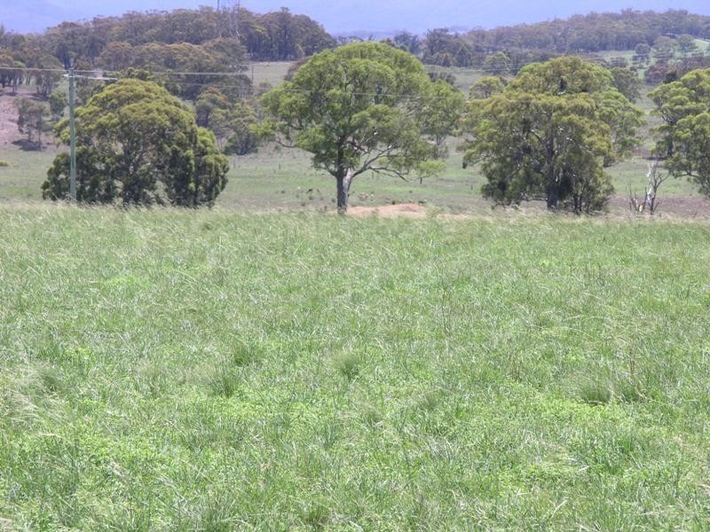 64 Curlewin  Lane, Towrang NSW 2580