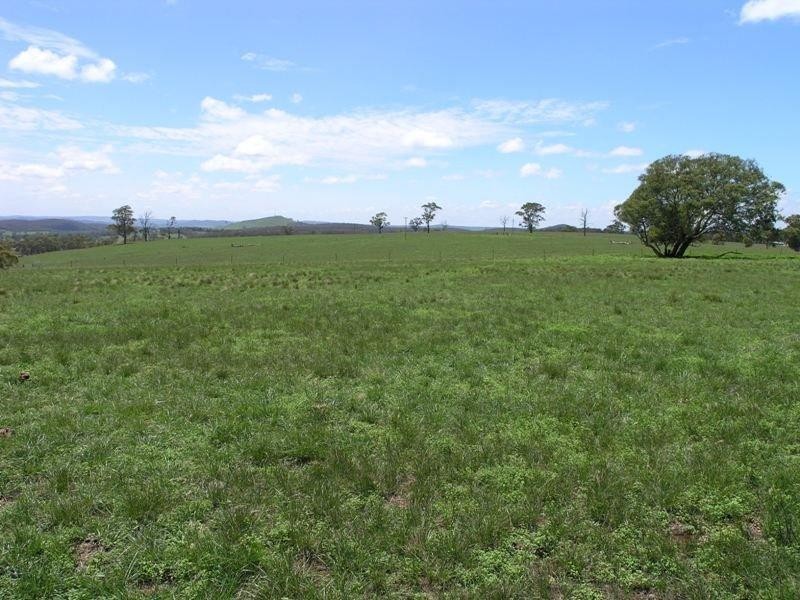 64 Curlewin  Lane, Towrang NSW 2580