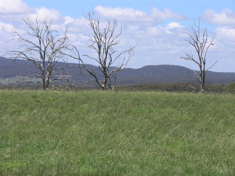 64 Curlewin  Lane, Towrang NSW 2580