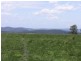64 Curlewin  Lane, Towrang NSW 2580