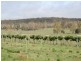 Marulan NSW 2579