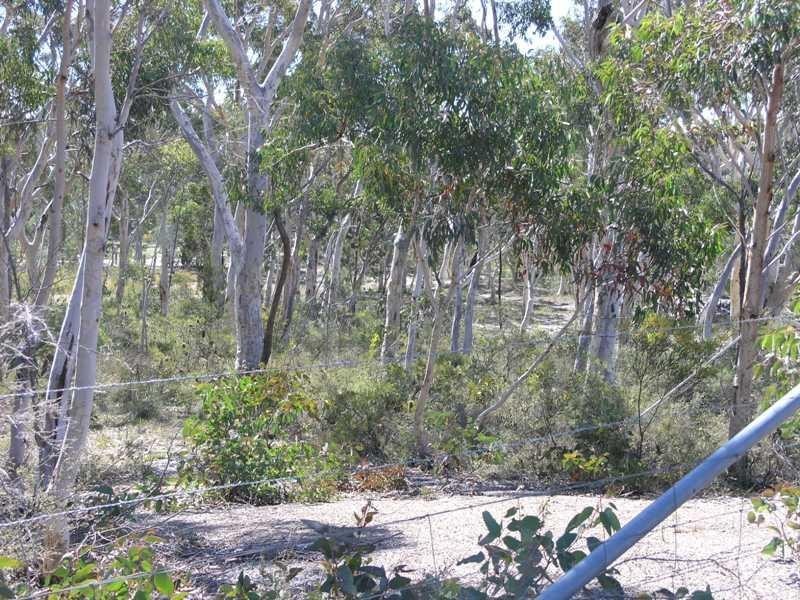 - Banksia  St, Tallong NSW 2579