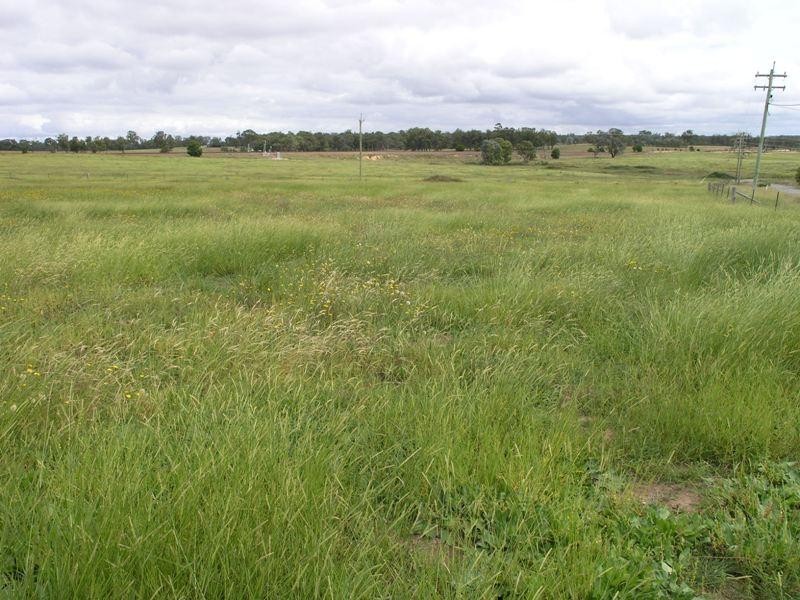 - Maclura  Dr, Marulan NSW 2579