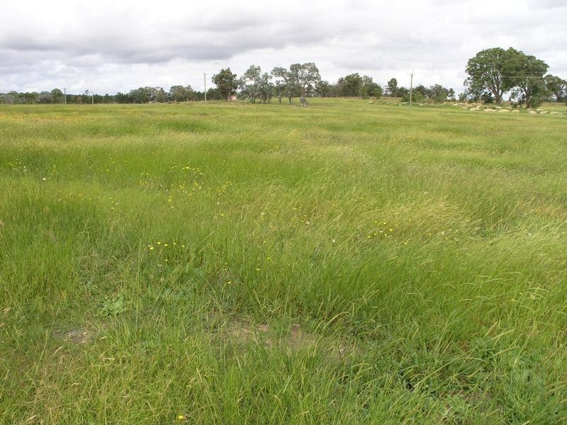 - Maclura  Dr, Marulan NSW 2579