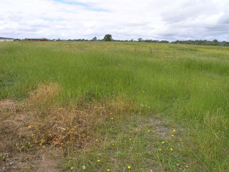 - Maclura  Dr, Marulan NSW 2579