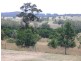 Marulan NSW 2579