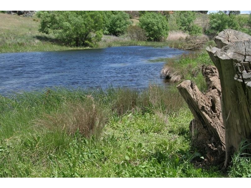 56 Gibraltar Rd, Big Hill NSW 2579