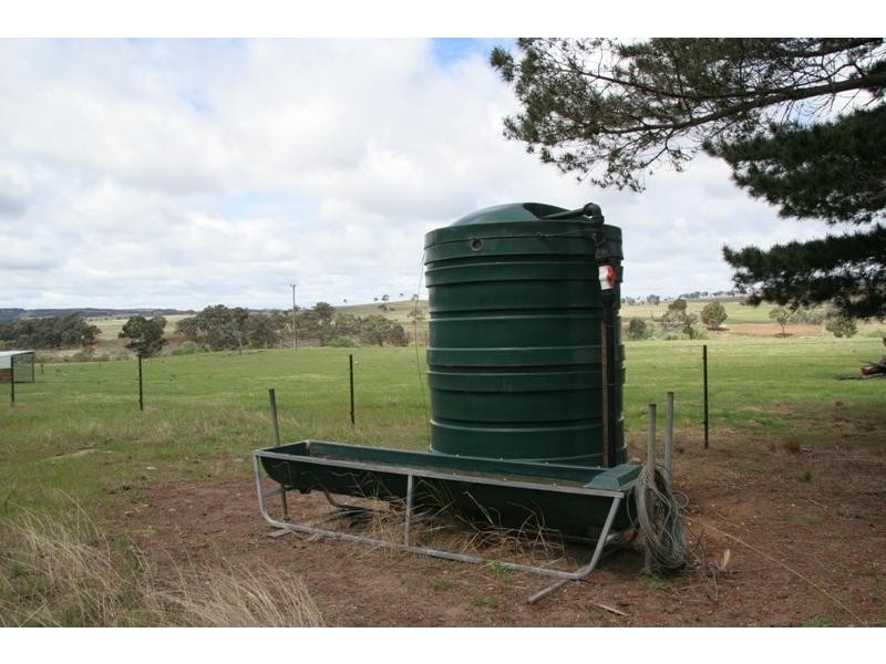 56 Gibraltar Rd, Big Hill NSW 2579