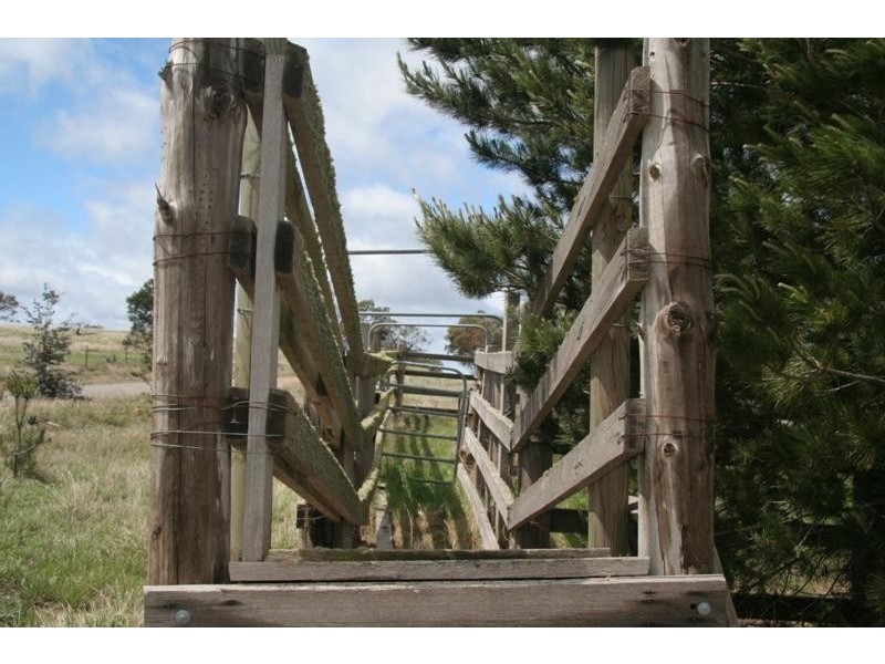 56 Gibraltar Rd, Big Hill NSW 2579