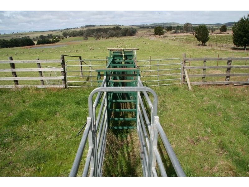 56 Gibraltar Rd, Big Hill NSW 2579