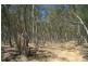Towrang NSW 2580