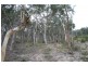 Towrang NSW 2580