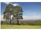 Tallong NSW 2579