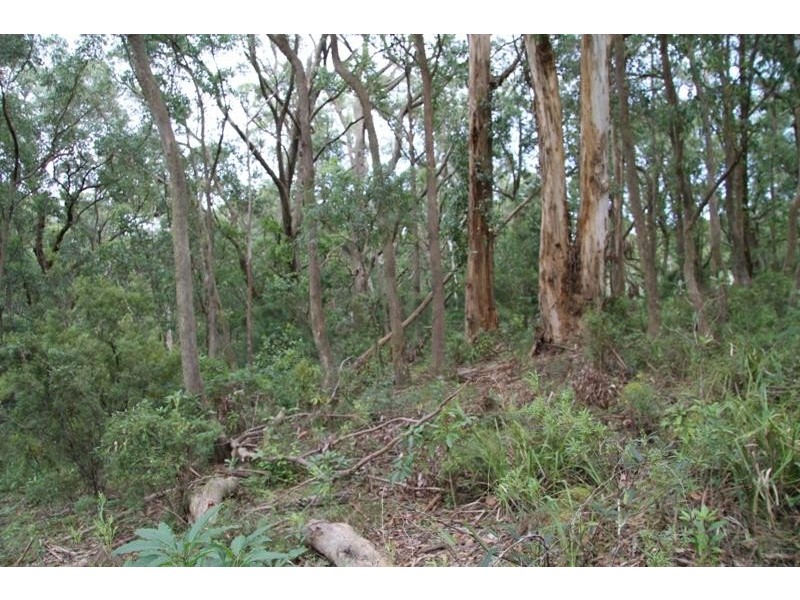 Bundanoon NSW 2578