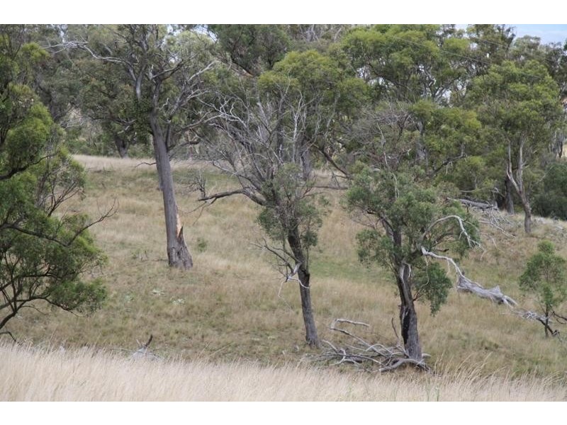 Big Hill NSW 2579