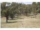 Big Hill NSW 2579