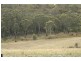 Tallong NSW 2579