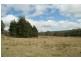Tallong NSW 2579