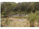 Tallong NSW 2579