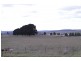 Tallong NSW 2579